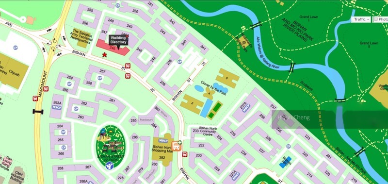 Blk 246 Bishan Street 22 (Bishan), HDB 4 Rooms #119157922
